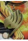 FAIRY TAIL COLGANTE LOGO BRONCE