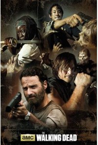 THE WALKING DEAD POSTER 61 x 91 COLLAGE