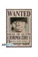 POSTER ONE PIECE WANTED ZORO NEW 52 x 38 CM