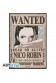 POSTER ONE PIECE WANTED ROBIN NEW 52 x 38 CM