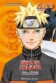 NARUTO GUIA 04 LIBRO DE COMBATE