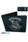 HARRY POTTER CARTERA HOGWARTS