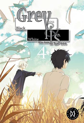 GREY IS 04