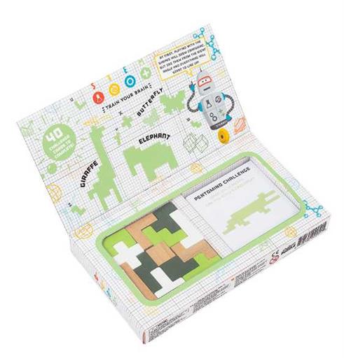 PROFESSOR PUZZLE  MATHEMATICS PENTOMINO
